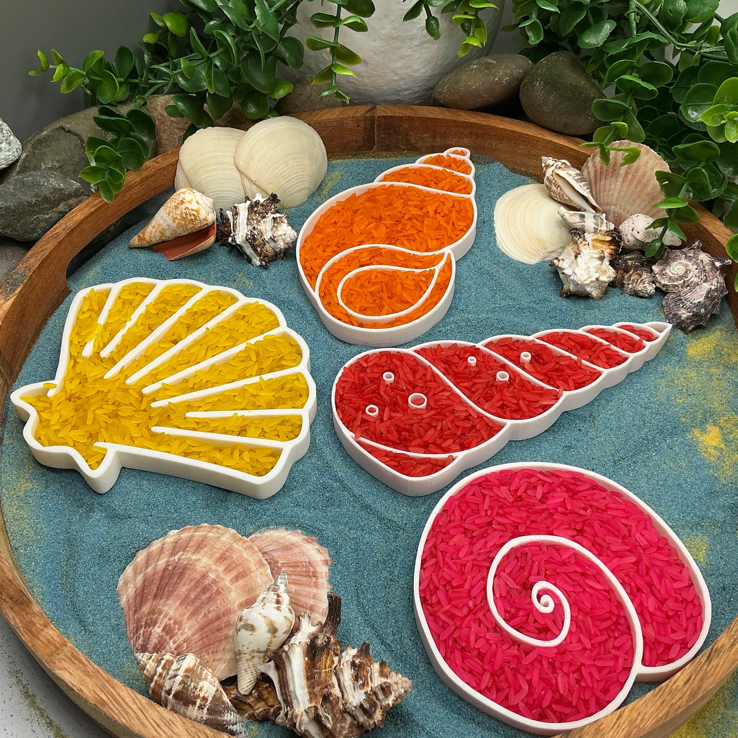 Seashells Sensory Filling Trays - 4 Piece Set (Sand & Rice Tuff Tray)
