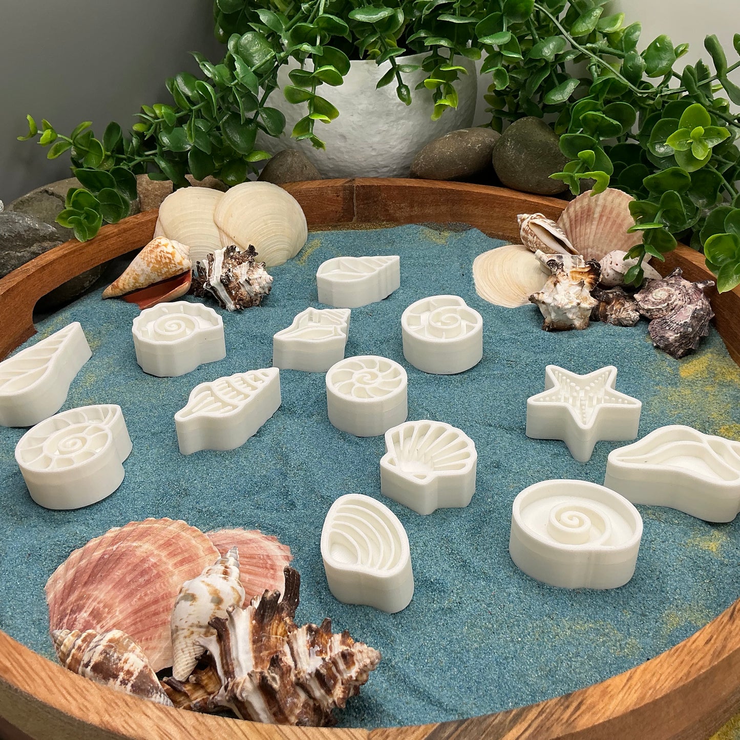 Shell Sensory Stamps - 13 Piece Set for Play Dough, Kinetic Sand & Clay