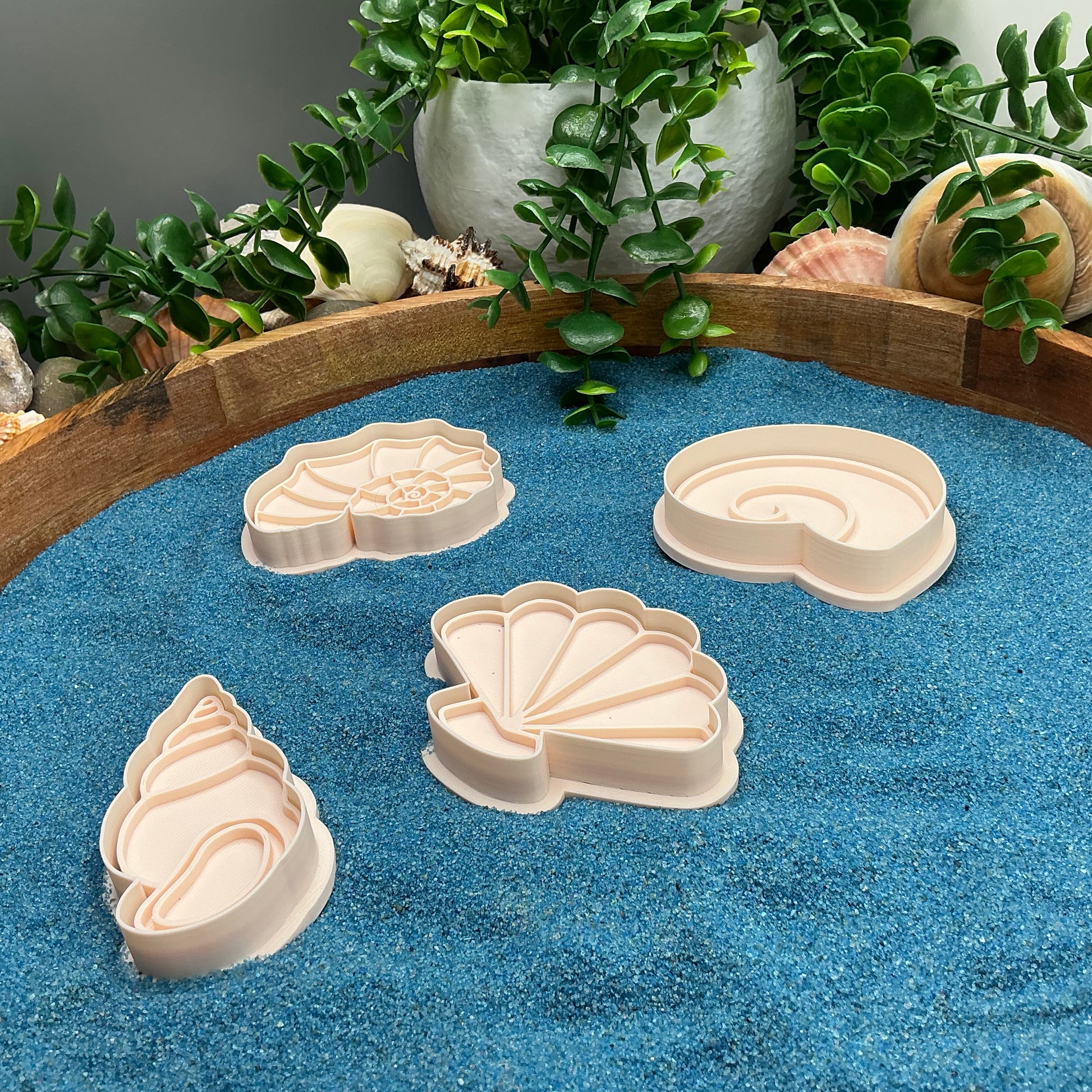 3D-printed sea shells play dough cookie cutter set - 4 piece ocean beach theme - view 7 of 9