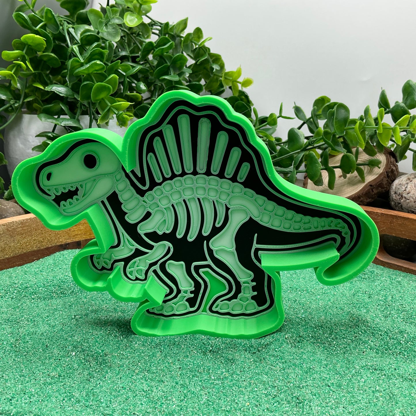 3D-printed skeleton dinosaur sensory play set - 6 piece with T-Rex, Triceratops, Stegosaurus, Spinosaurus, Pterodactyl, Brachiosaurus - view 5 of 16