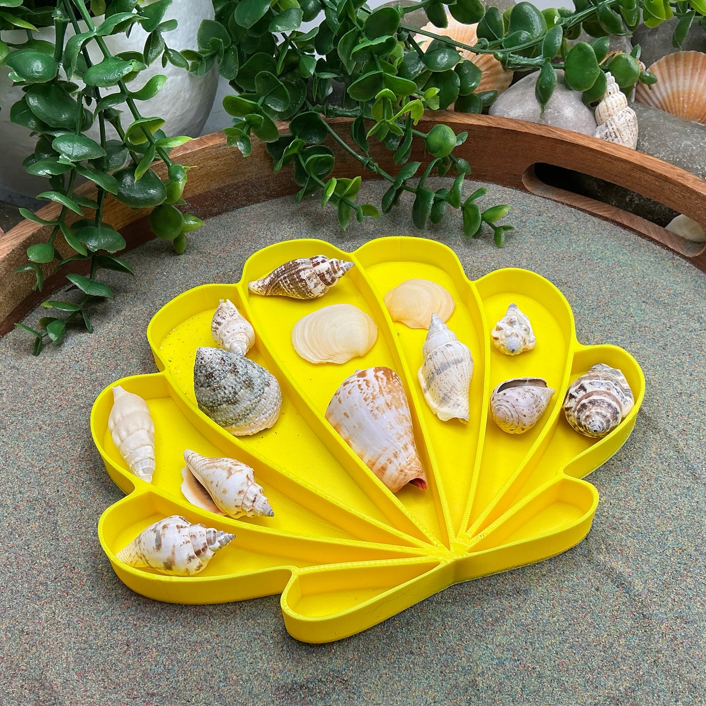 Large Seashell Sensory Filling Tray - Eco-Friendly 3D Printed for Sand, Rice & Oats