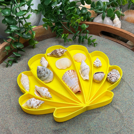Large Seashell Sensory Filling Tray - Eco-Friendly 3D Printed for Sand, Rice & Oats