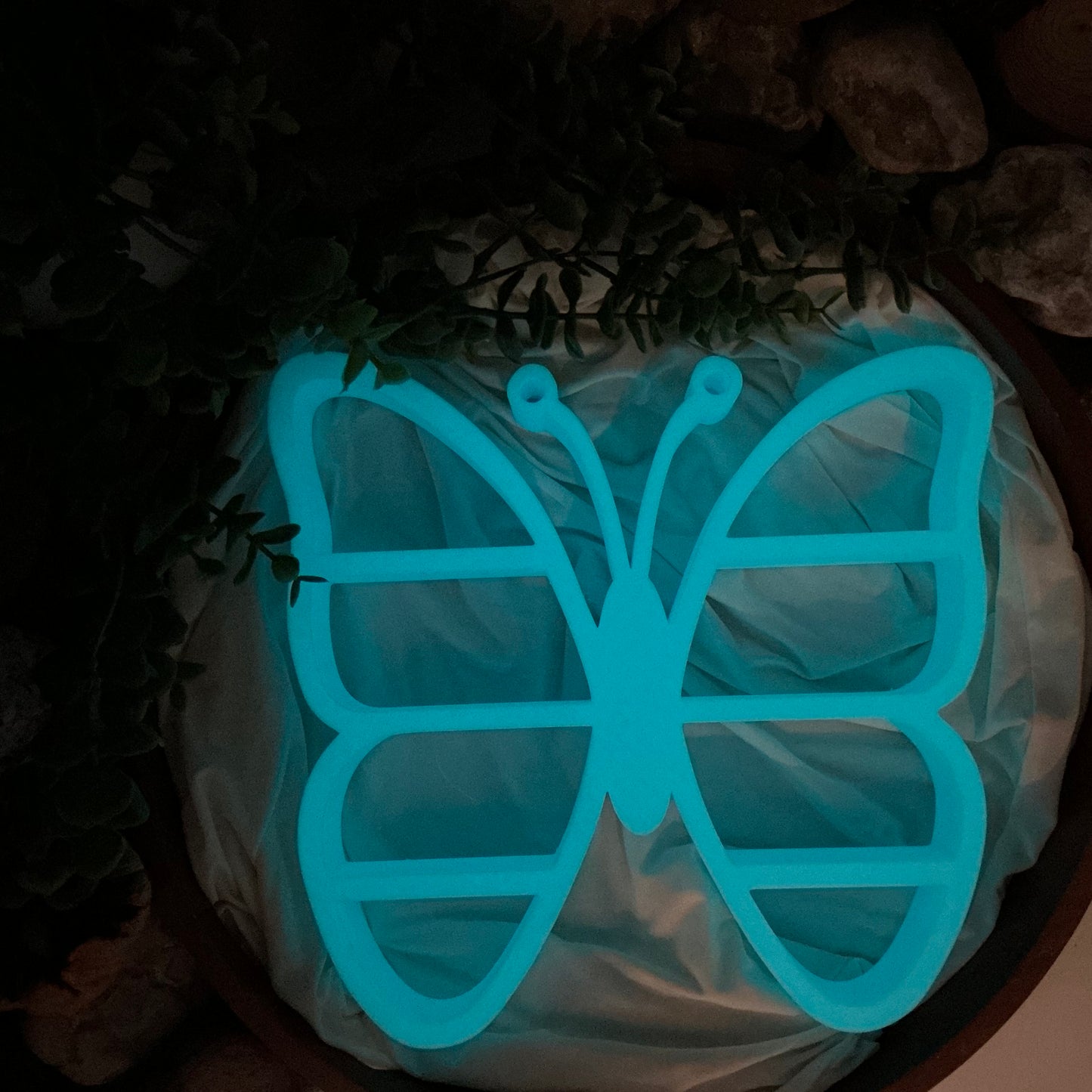 Butterfly table top mini shelf display glow in the dark