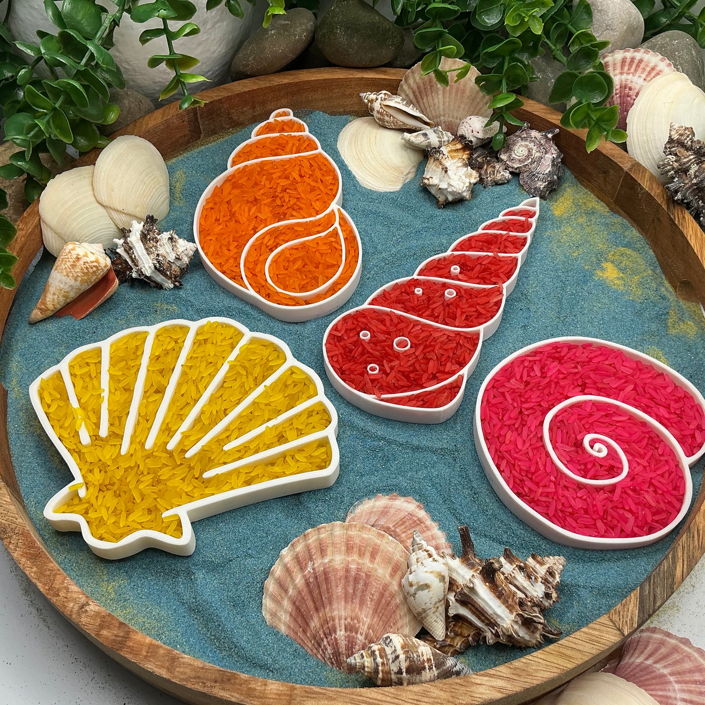 Seashells Sensory Filling Trays - 4 Piece Set (Sand & Rice Tuff Tray)