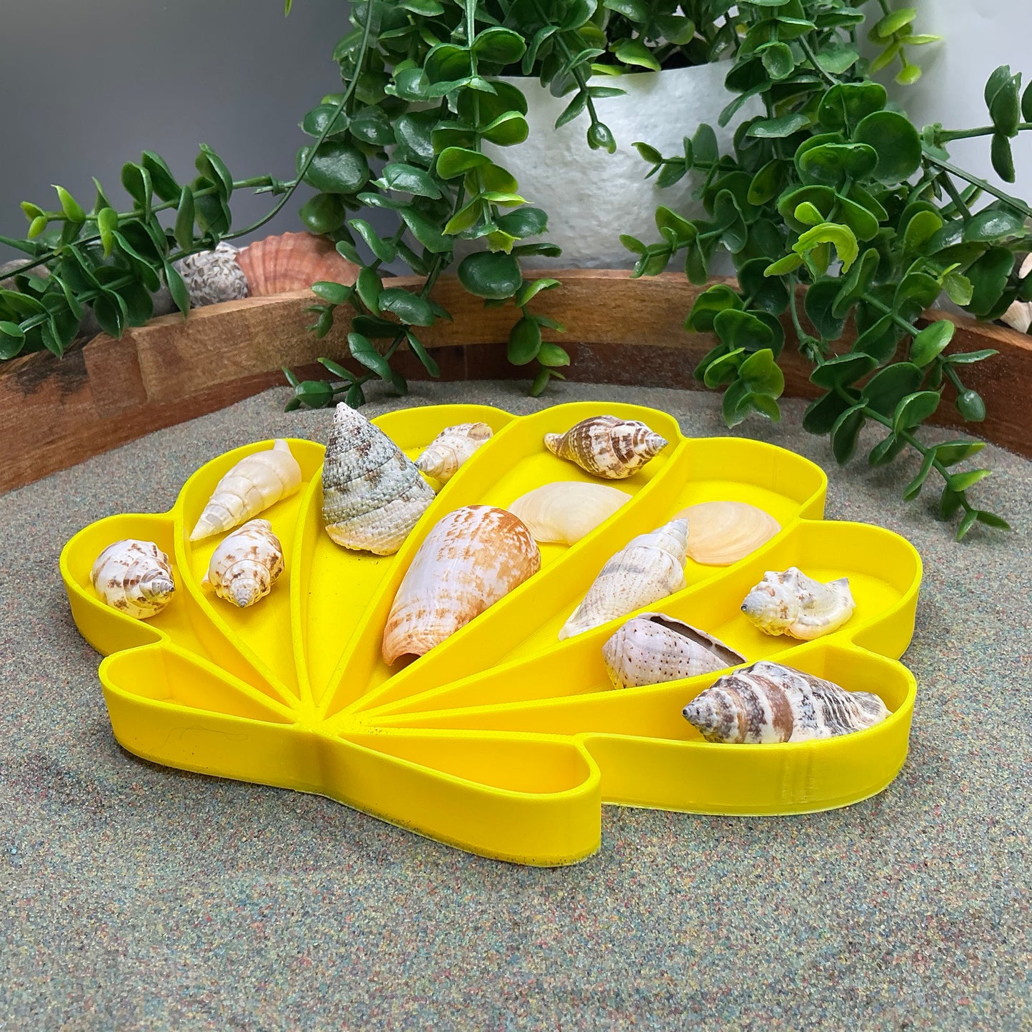 Large Seashell Sensory Filling Tray - Eco-Friendly 3D Printed for Sand, Rice & Oats