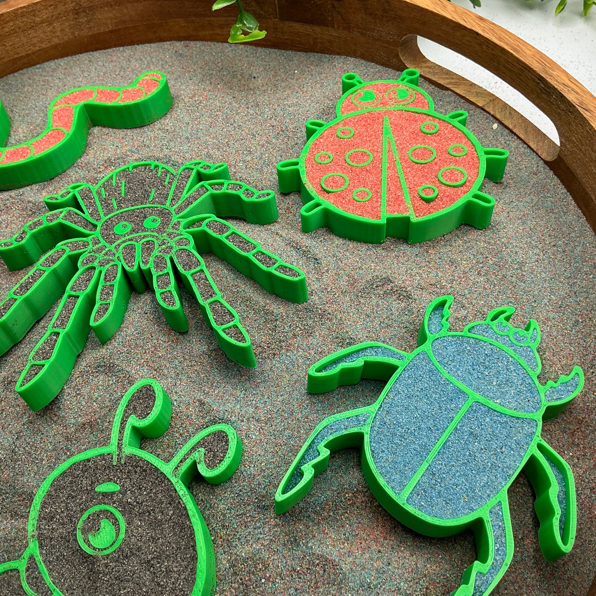 Spring Garden Insect Sensory Trays 6 Piece Set - side view
