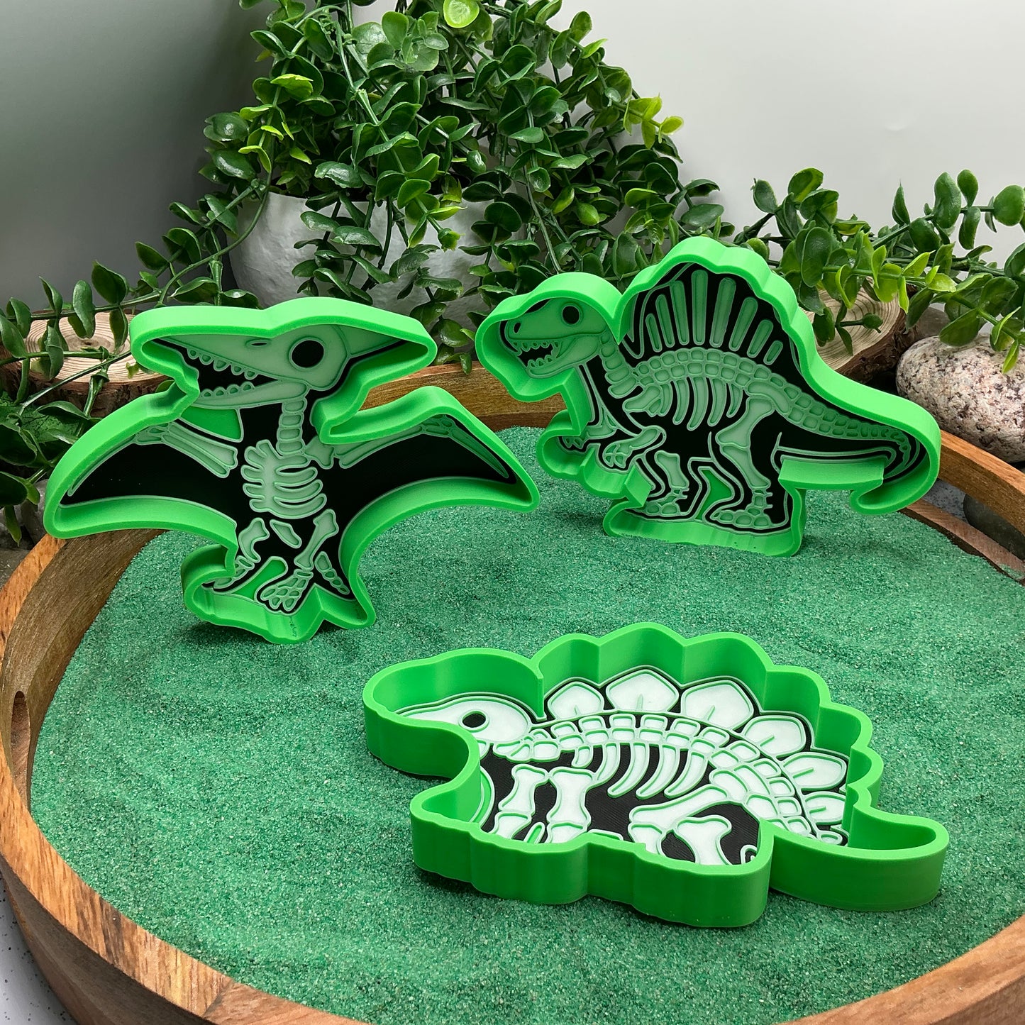 3D-printed skeleton dinosaur sensory play set - 6 piece with T-Rex, Triceratops, Stegosaurus, Spinosaurus, Pterodactyl, Brachiosaurus - view 3 of 16