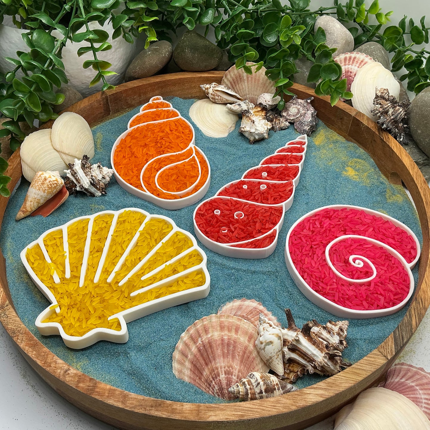 Seashells Sensory Filling Trays - 4 Piece Set (Sand & Rice Tuff Tray)