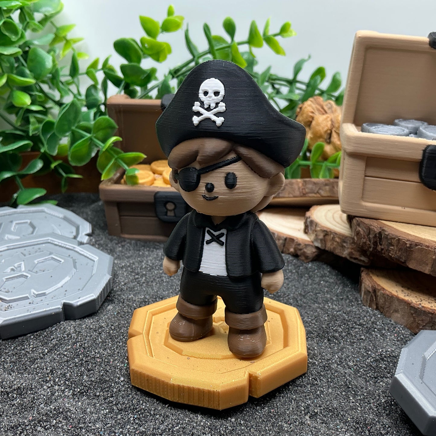 Pirate,Treasure Chest, Parrot & Treasure Coins 6 piece set