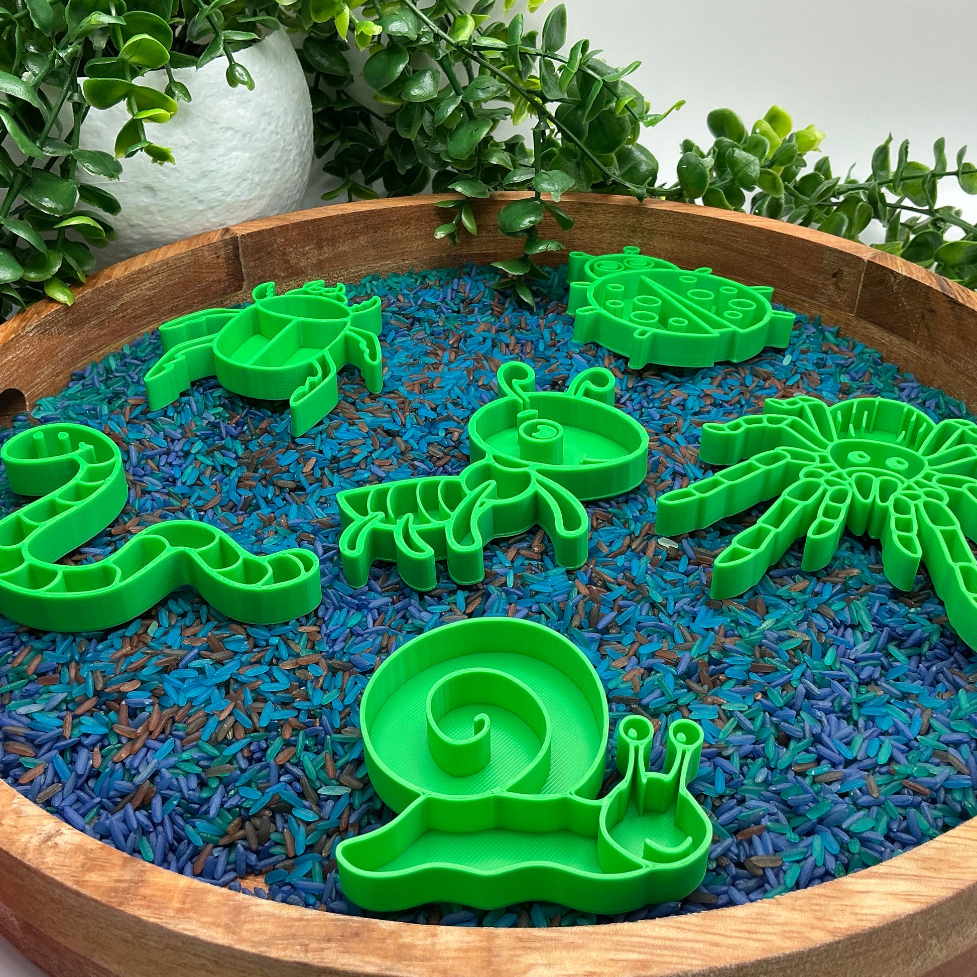 Spring Garden Insect Sensory Trays 6 Piece Set - scale reference