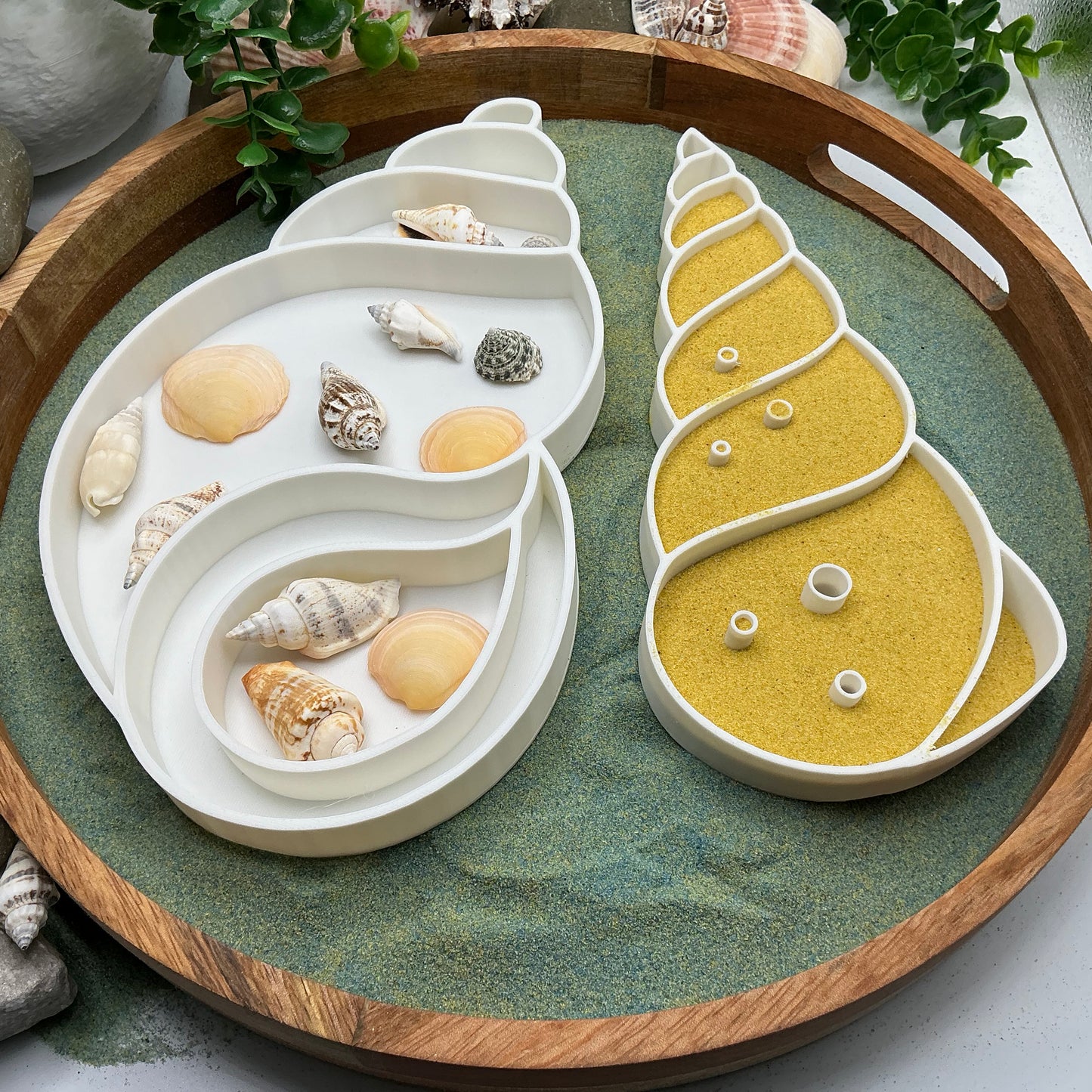 3D-printed large seashells sensory filling tray, 2-piece set for sand tuff trays - view 8 of 8