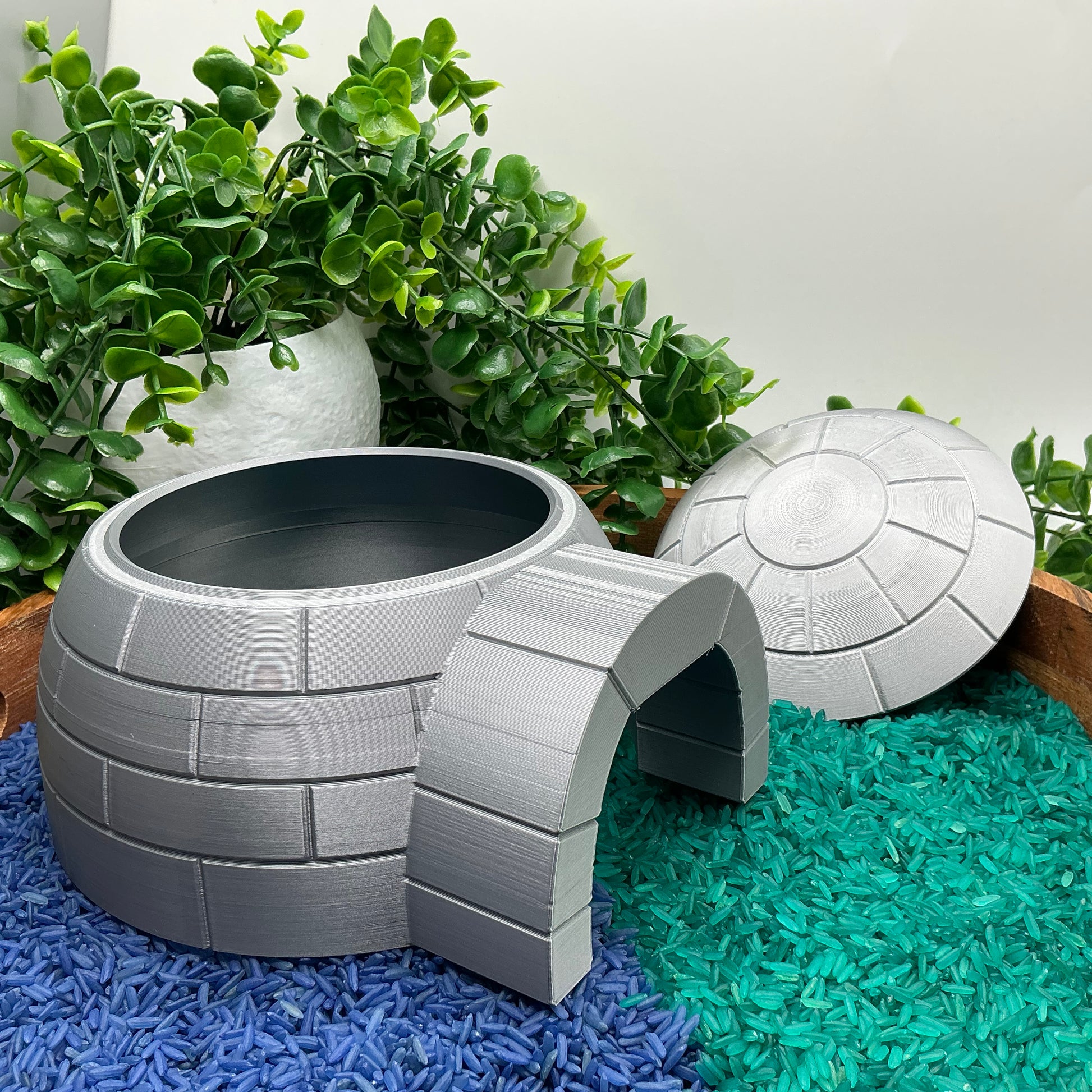 Arctic Polar Bear and Large Igloo - in use