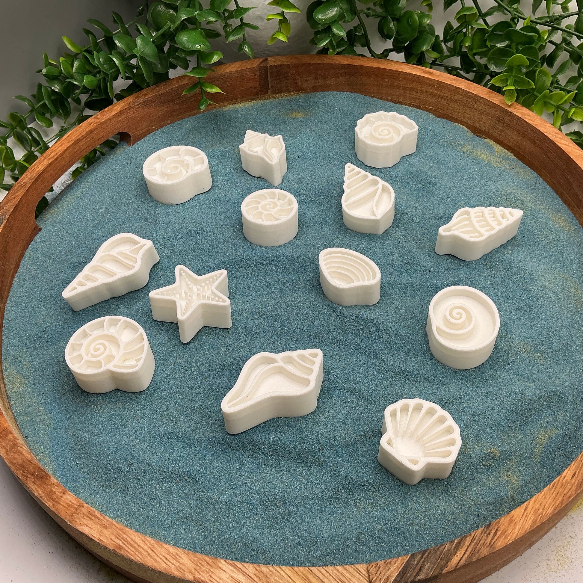 3D-printed shell sensory stamps, 13-piece set for play dough, kinetic sand and clay - view 7 of 7