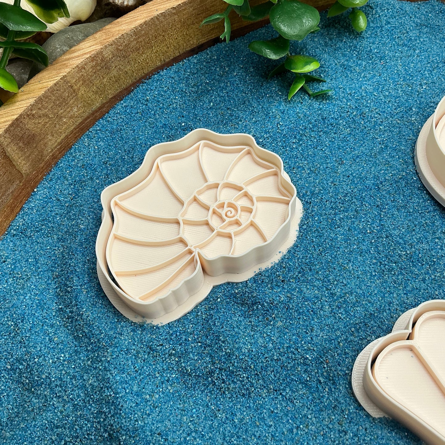 3D-printed sea shells play dough cookie cutter set - 4 piece ocean beach theme - view 3 of 9
