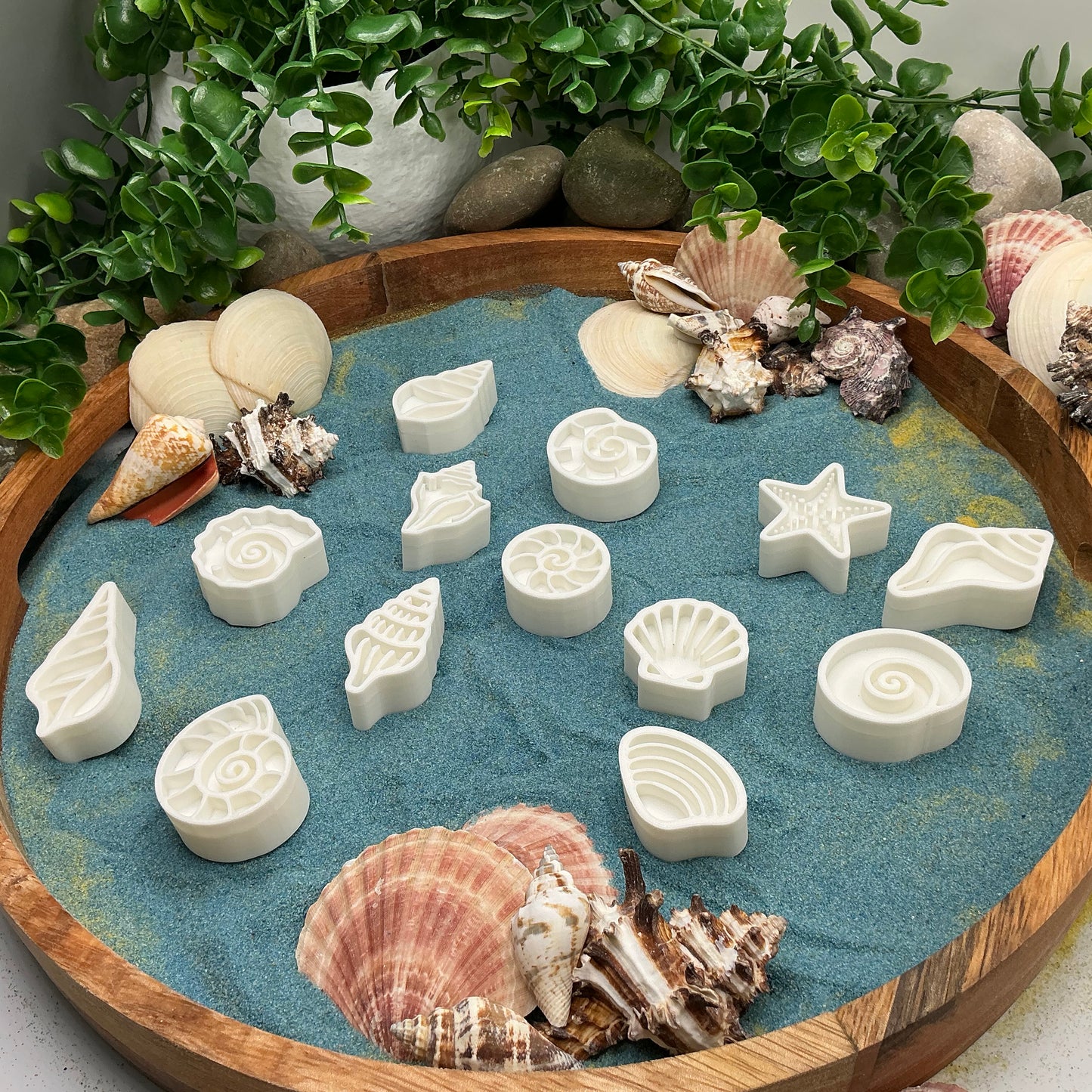 Shell Sensory Stamps - 13 Piece Set for Play Dough, Kinetic Sand & Clay