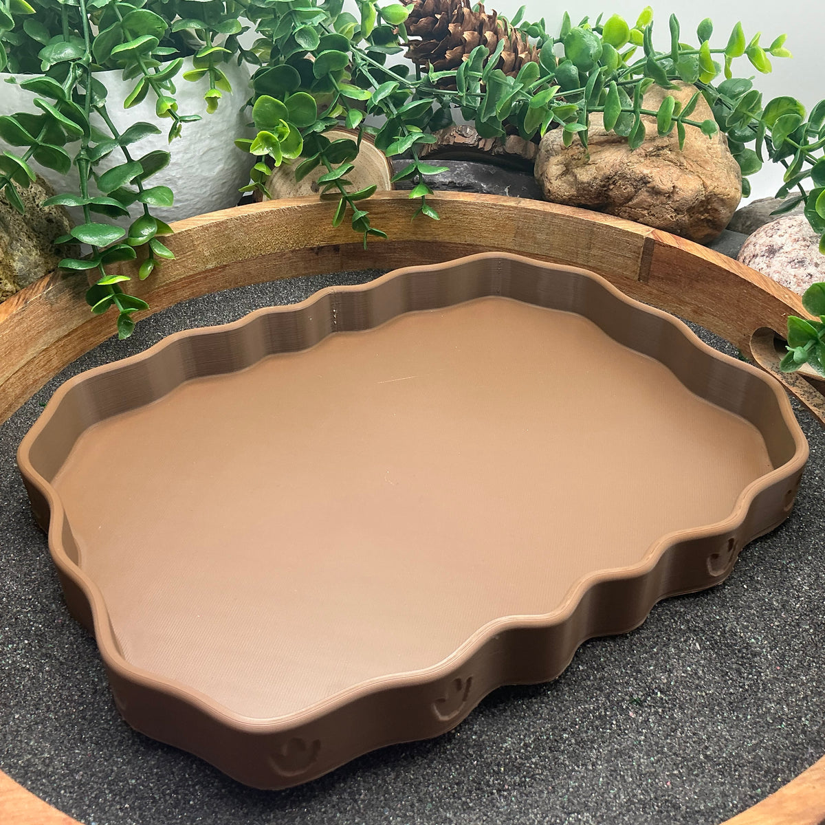Empty dinosaur footprint tray