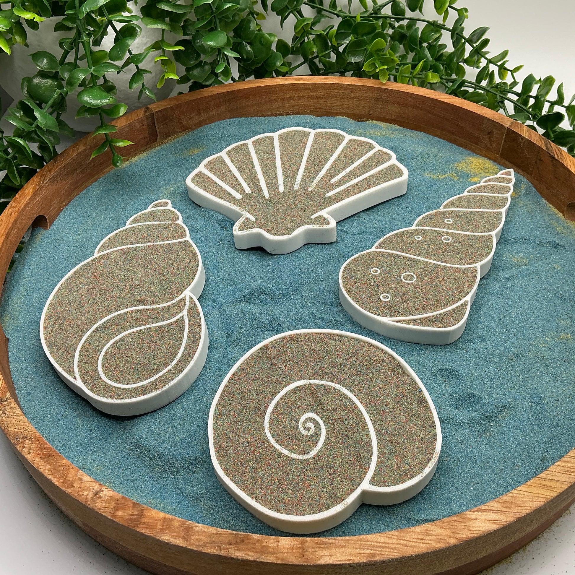 3D-printed seashell sensory filling tray, 4-piece set for sand and rice tuff trays - view 9 of 9