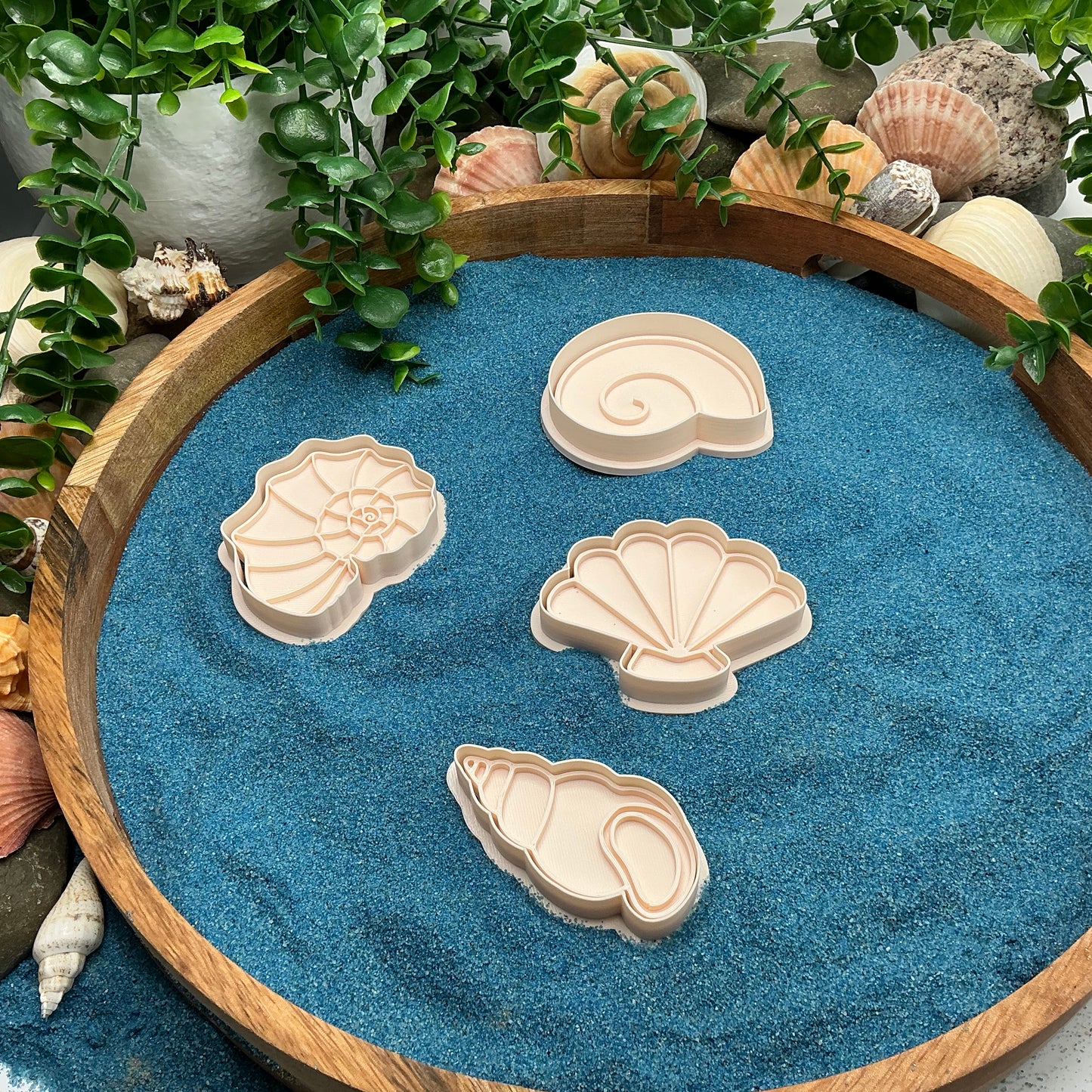 3D-printed sea shells play dough cookie cutter set - 4 piece ocean beach theme - view 1 of 9