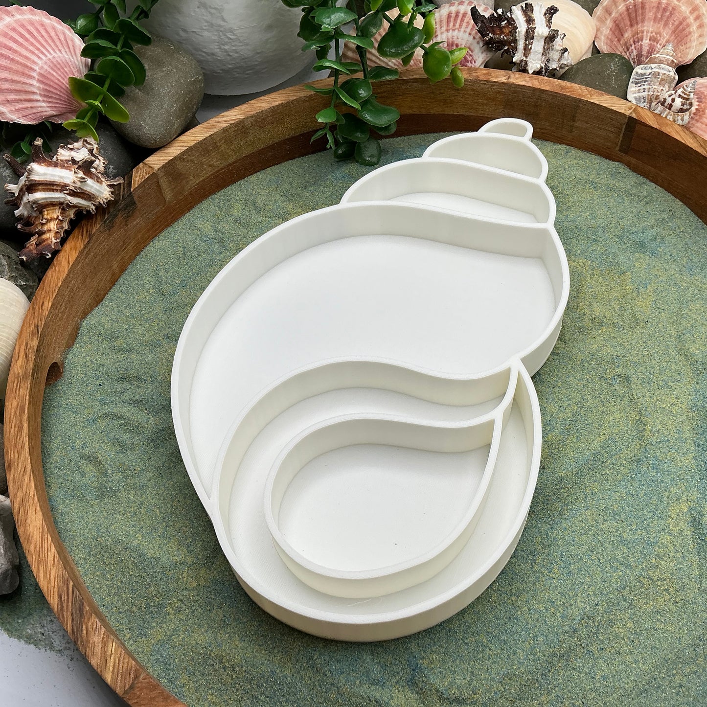3D-printed large seashells sensory filling tray, 2-piece set for sand tuff trays - view 5 of 8